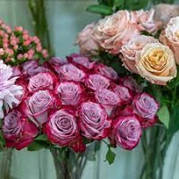 Flowers & Plants Co.